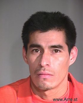 Luis G Ibarra-sanchez Mugshot