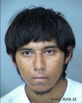 Luis Gabriel Ochoa Mugshot