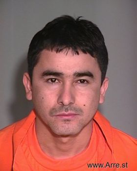 Luis O Ochoa-gaxiola Mugshot