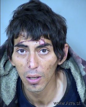 Luis E Padilla Mugshot