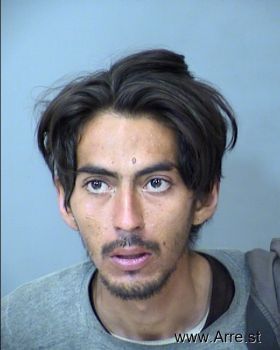 Luis E Padilla Mugshot