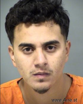 Luis Martin Salgado Mugshot