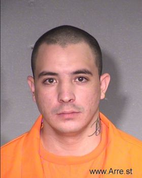 Luis A Salgado-reyes Mugshot