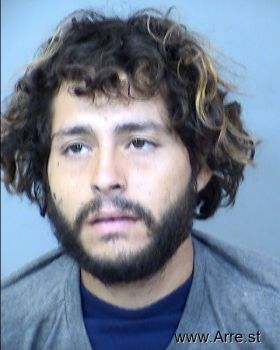 Luis De Jesus Torres Robles Mugshot