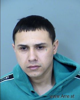 Luis Alberto Vega Rico Mugshot