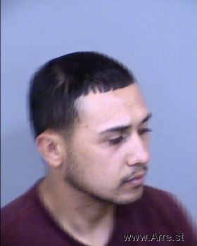 Luis Alberto Vega Rico Mugshot