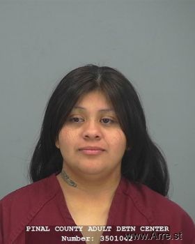 Luisa  Gomez Mugshot