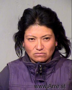 Maria Guadalupe Torres Sanchez Mugshot