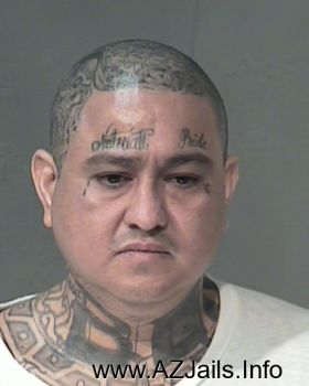 Mario  Torres Flores Mugshot