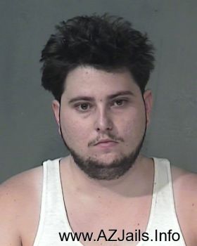 Matthew Jacob Lyons Mugshot