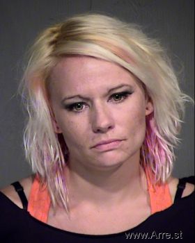 Melissa Renee Ludwig Mugshot