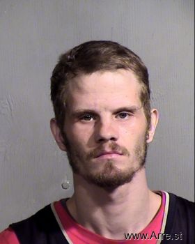 Michael  Palmer Mugshot