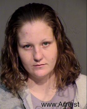 Michelle Ann Busse Mugshot