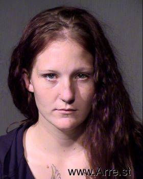 Michelle Ann Busse Mugshot