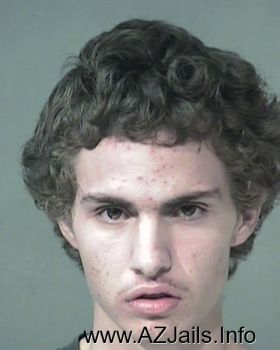 Mitchell  Mullins Mugshot