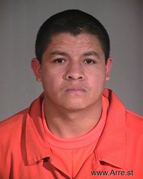 Manuel  Chavez-palma Mugshot