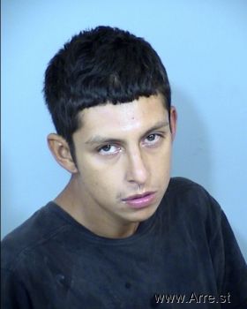 Manuel Delgadillo Gomez Mugshot