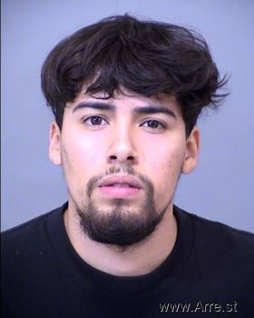 Manuel Ernesto Holguin-ramirez Mugshot