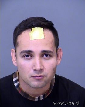 Manuel Jose Santos Palomino Mugshot