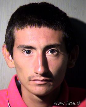 Manuel Henry Trujillo Mugshot