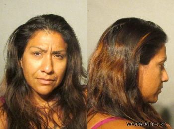 Maria Elena Alvarado Mugshot