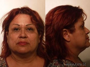 Maria Violet Lopez Mugshot