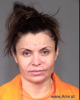 Maria Y Sanchez-arvizu Mugshot