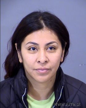 Maria Elena Sanchez-nino Mugshot