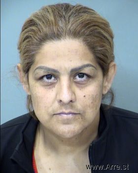 Maria Del Refugio Vega-villalba Mugshot