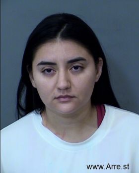 Maribel Gamez Fernandez Mugshot