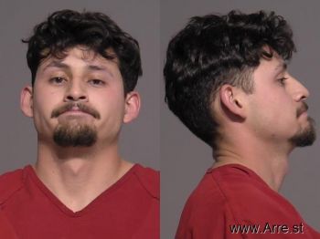 Mario Alberto Gutierrez Gonzalez Mugshot