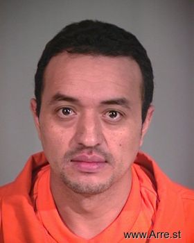 Mario  Sanchez-saenz Mugshot