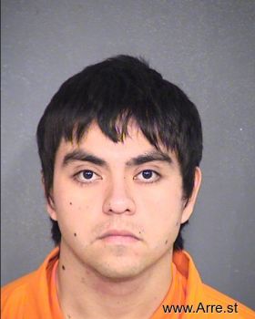 Mario A Valenzuela-campos Mugshot