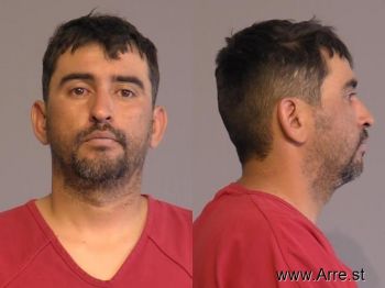 Mario E Villarreal-gonzalez Mugshot