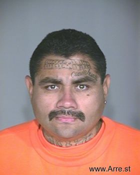 Mark G Alvarado Mugshot