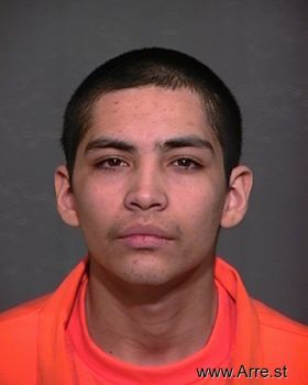 Martin L Alvarado Mugshot