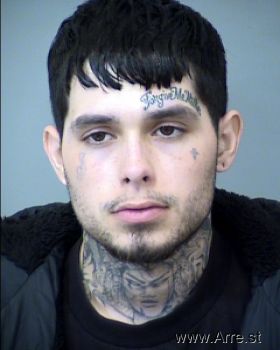 Martin Thomas Estrada Mugshot