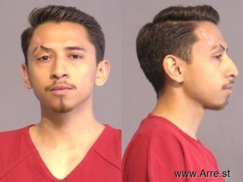 Martin  Garcia Mugshot