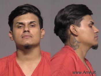 Martin De Jesus Patino-munoz Mugshot