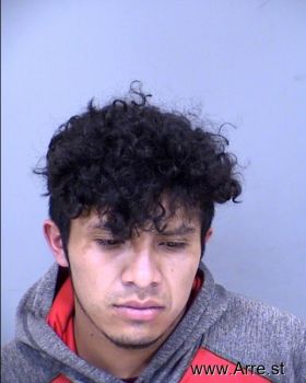 Martin  Perez-adelfo Mugshot