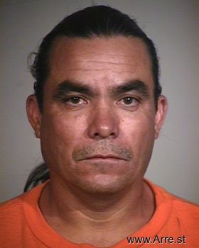 Martin  Ramirez-ibarra Mugshot