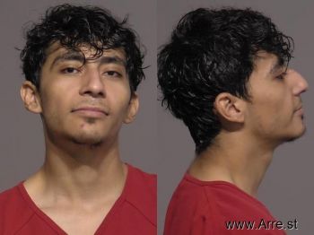 Martin Jesus Jr Rodriguez Figueroa Mugshot