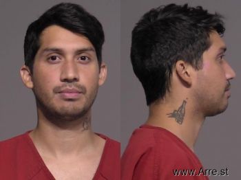 Martin Jr Zendejas Mugshot