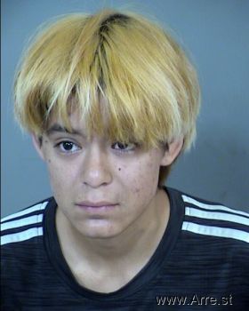 Mayra Ortiz Gonzalez Mugshot