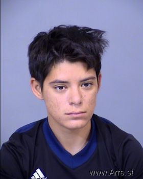 Mayra Ortiz Gonzalez Mugshot