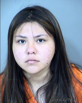 Megan Morningstar Brown Mugshot