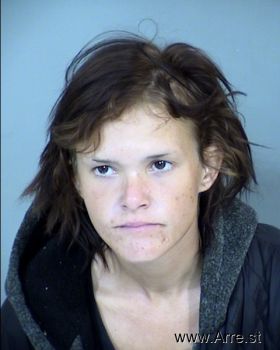 Megan Renee Lemon Mugshot