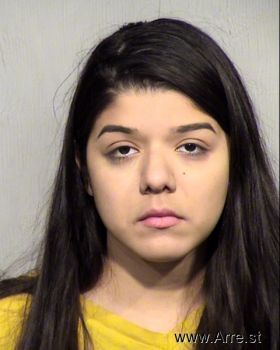 Melissa M Sanchez Fierro Mugshot