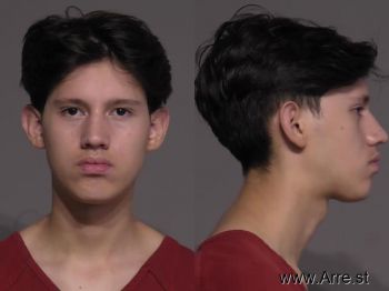 Michael Adam Jr Andrade Mugshot