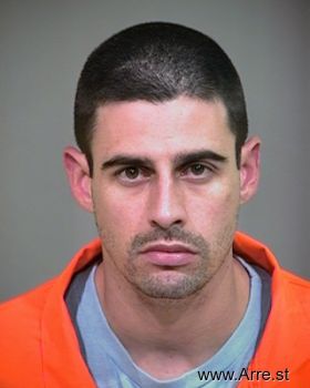 Michael S Berger Mugshot